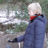 Feeding coal tits, Loch Garten