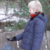 Feeding coal tits, Loch Garten