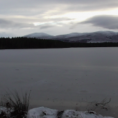 Loch Garten frozen